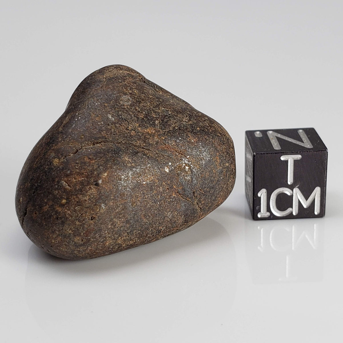 Northwest Africa NWA Meteorite | 21.6 Grams | Individual | Tumbled Meteorite | Sahara