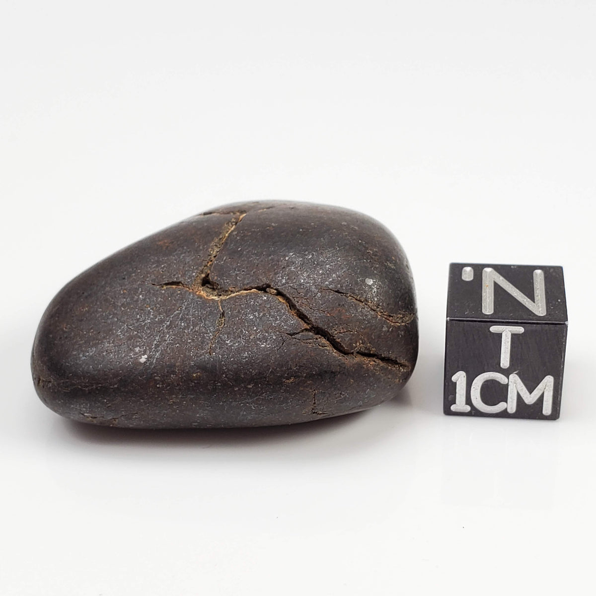 Northwest Africa NWA Meteorite | 27.8 Grams | Individual | Tumbled Meteorite | Sahara
