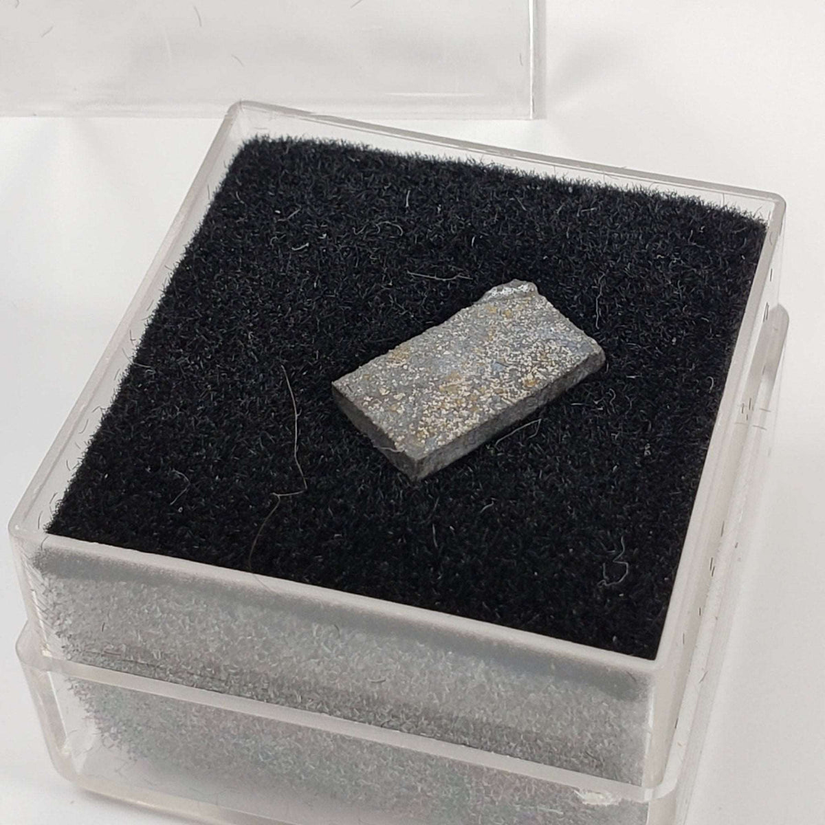  Abee Meteorite | 0.31gr | Part Slice | Rare Enstatite | EH4 Class | Observed Fall 1952 Canada | SO24 7