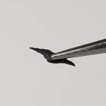  Abee Meteorite | 124 mg | Fragment | Rare Enstatite | EH4 Class | Observed Fall 1952 Canada | SO24 3