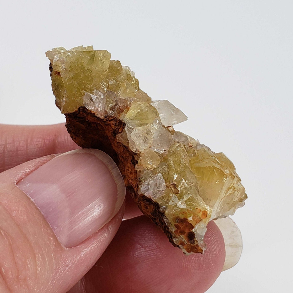  Adamite Crystals on Matrix | 16.5 grams | Fluorescent | Mapimi, Durango, Mexico | SO24 5