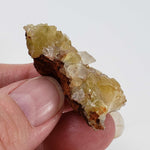  Adamite Crystals on Matrix | 16.5 grams | Fluorescent | Mapimi, Durango, Mexico | SO24 5