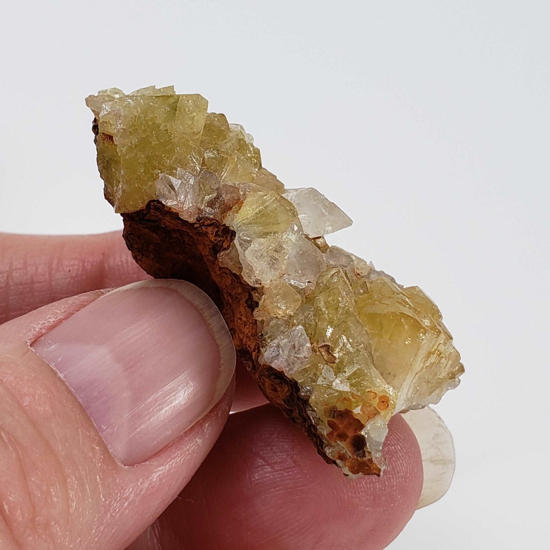  Adamite Crystals on Matrix | 16.5 grams | Fluorescent | Mapimi, Durango, Mexico | SO24 5