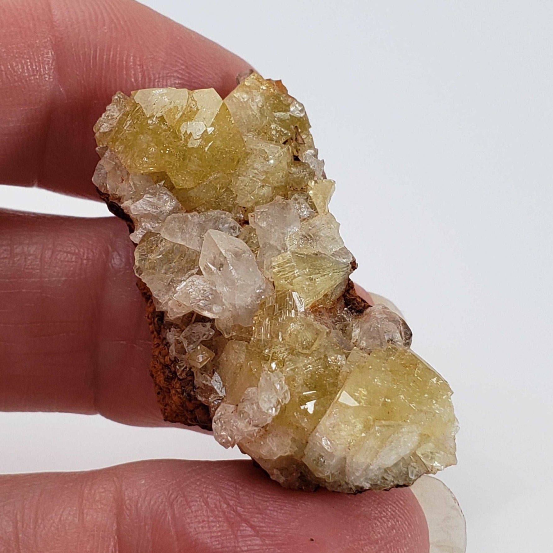  Adamite Crystals on Matrix | 16.5 grams | Fluorescent | Mapimi, Durango, Mexico | SO24 6