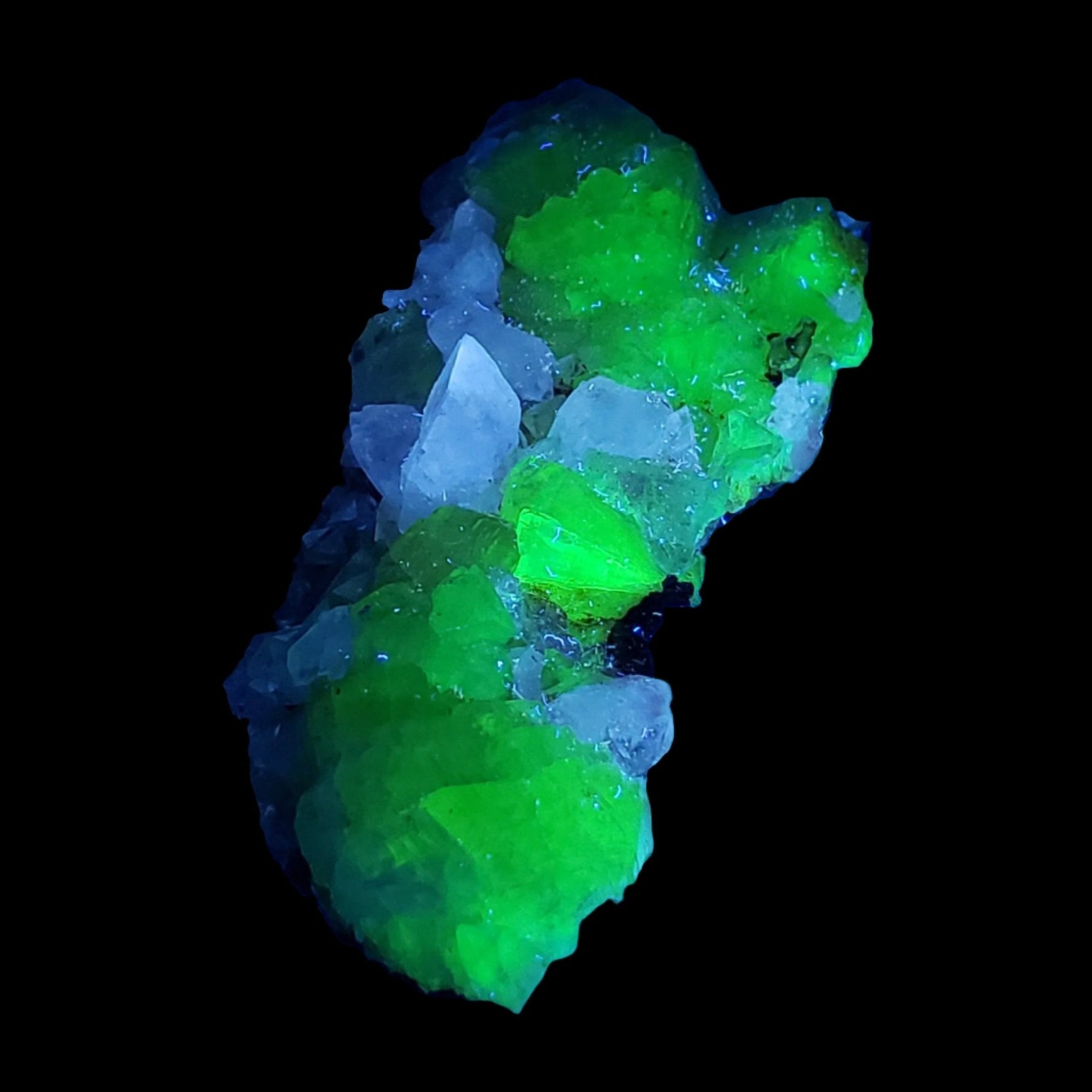  Adamite Crystals on Matrix | 16.5 grams | Fluorescent | Mapimi, Durango, Mexico | SO24 8