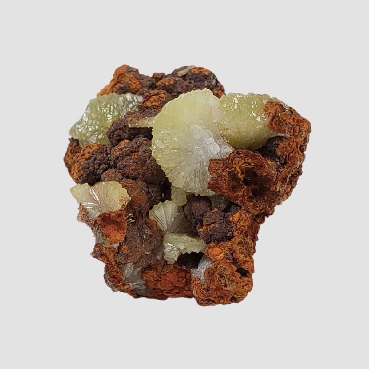  Adamite Crystals on Matrix | 17 grams | Mina Ojuela, Mapimi, Durango, Mexico 1
