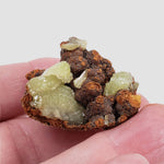  Adamite Crystals on Matrix | 17 grams | Mina Ojuela, Mapimi, Durango, Mexico 4