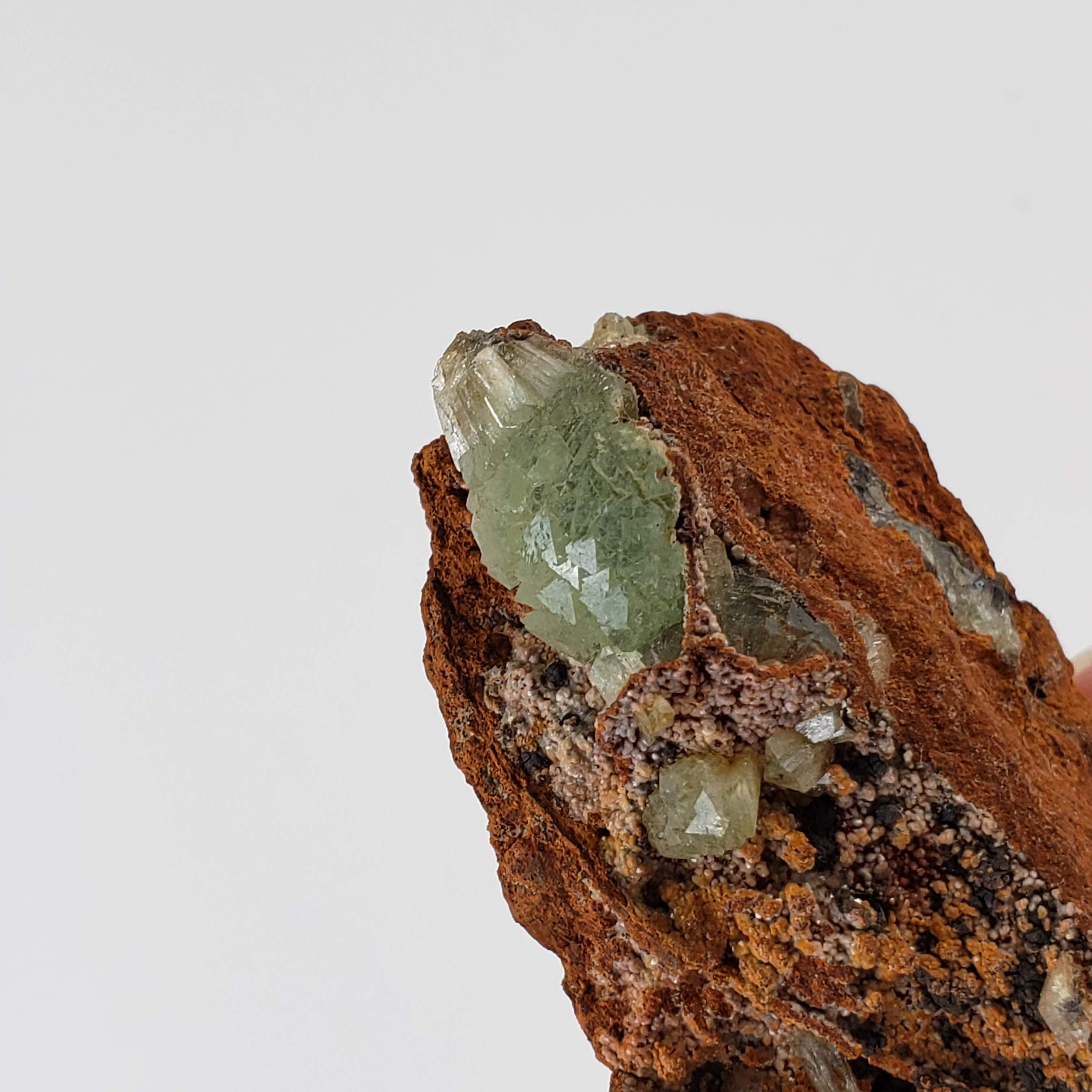 Adamite Crystals on Matrix mined at Mina Ojuela, Mexico