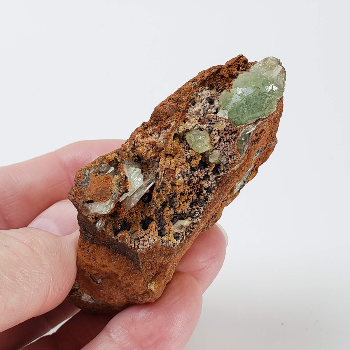  Adamite Crystals on Matrix | 77.1 grams | Mina Ojuela, Mapimi, Durango, Mexico 3