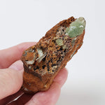  Adamite Crystals on Matrix | 77.1 grams | Mina Ojuela, Mapimi, Durango, Mexico 3