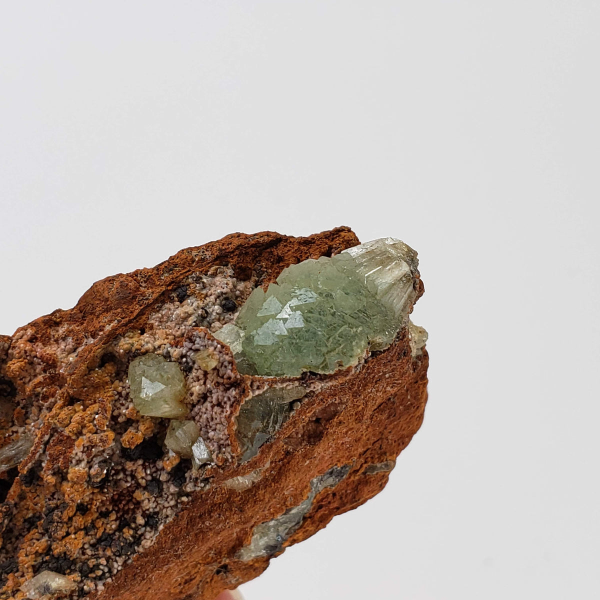  Adamite Crystals on Matrix | 77.1 grams | Mina Ojuela, Mapimi, Durango, Mexico 4