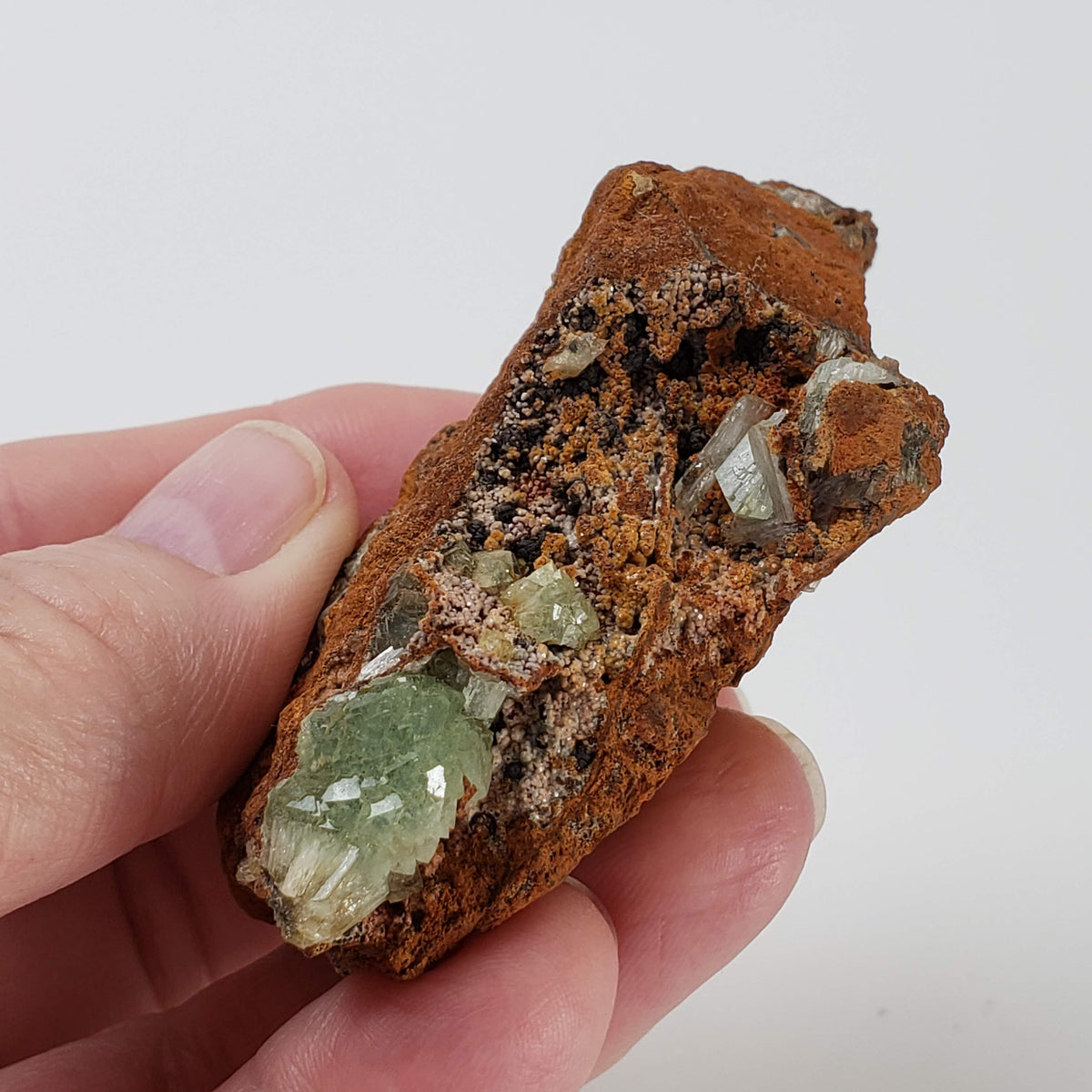  Adamite Crystals on Matrix | 77.1 grams | Mina Ojuela, Mapimi, Durango, Mexico 5