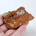  Adamite Crystals on Matrix | 77.1 grams | Mina Ojuela, Mapimi, Durango, Mexico 6
