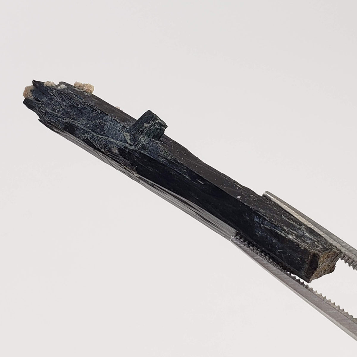 Aegirine Crystal | 4.0gr | Mont-Saint-Hilaire, Québec, Canada 5