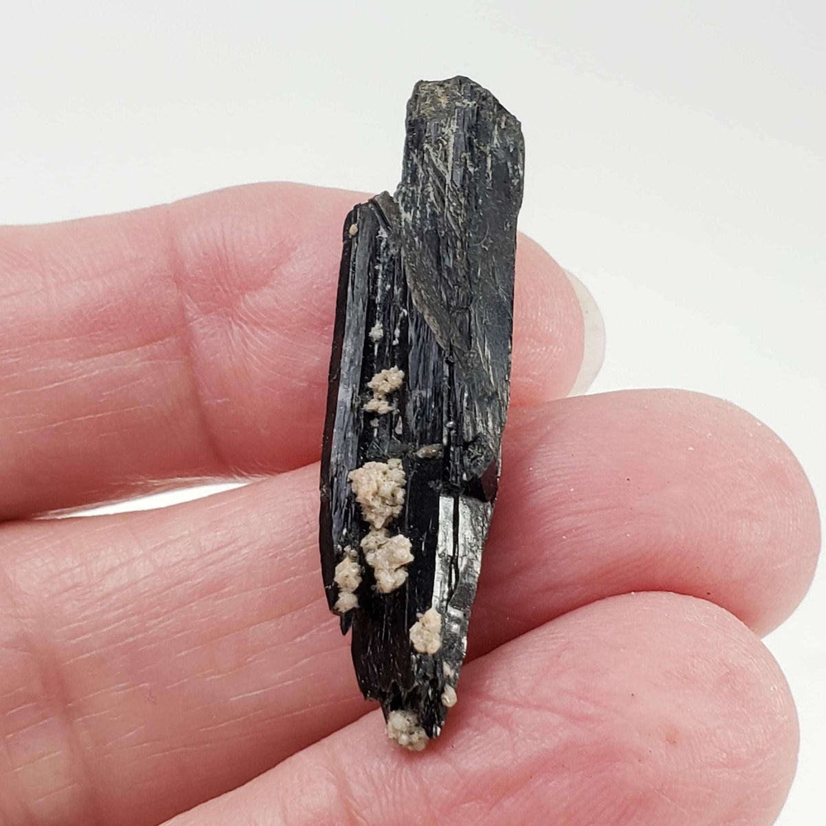  Aegirine Crystal | 4.0gr | Mont-Saint-Hilaire, Québec, Canada 