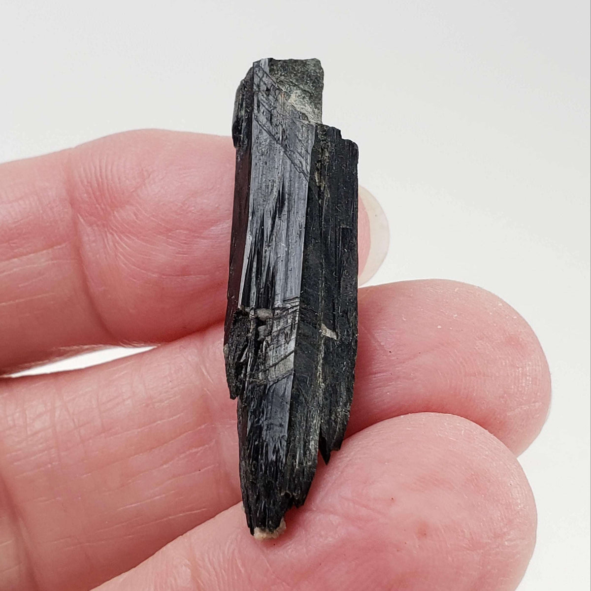  Aegirine Crystal | 4.0gr | Mont-Saint-Hilaire, Québec, Canada 1