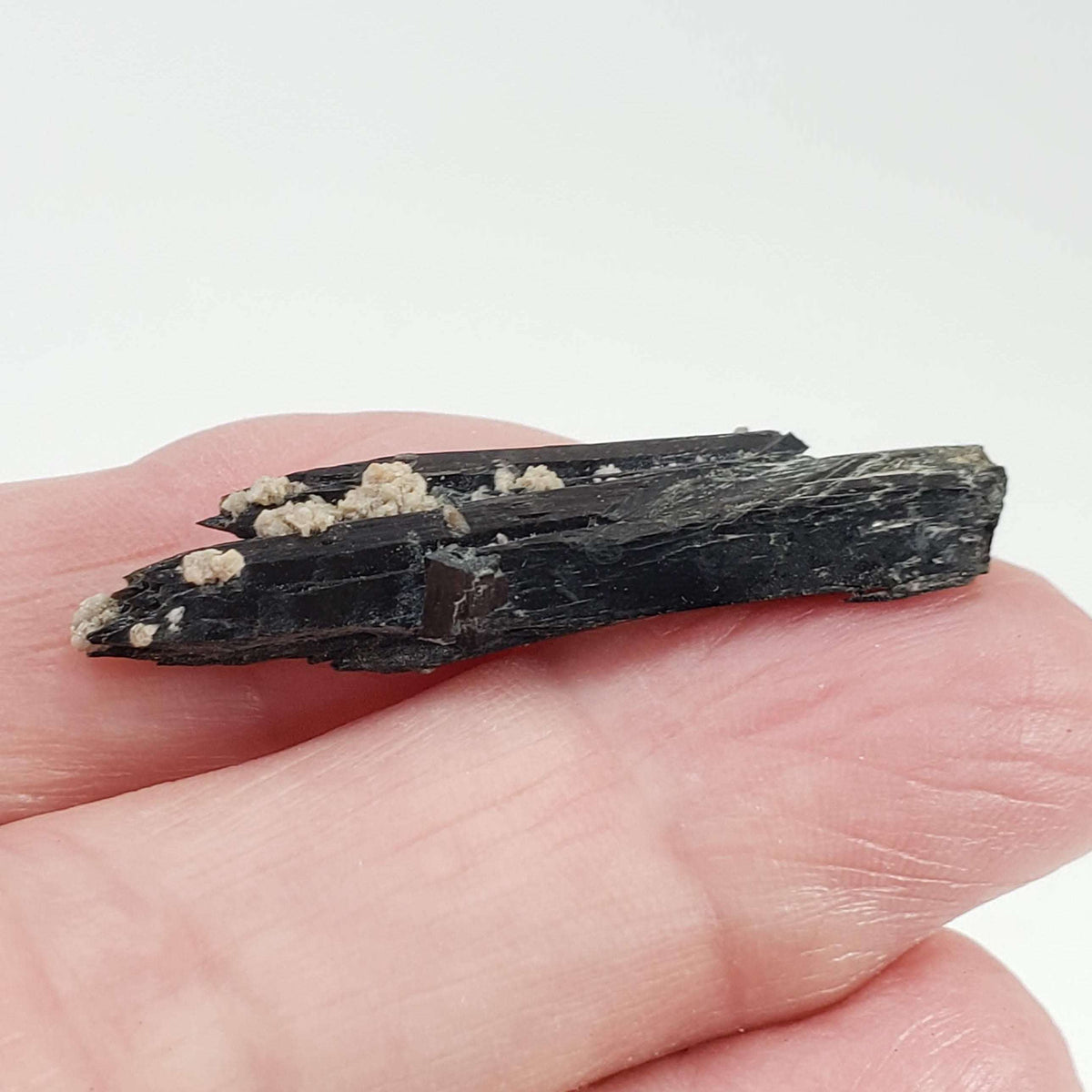  Aegirine Crystal | 4.0gr | Mont-Saint-Hilaire, Québec, Canada 2