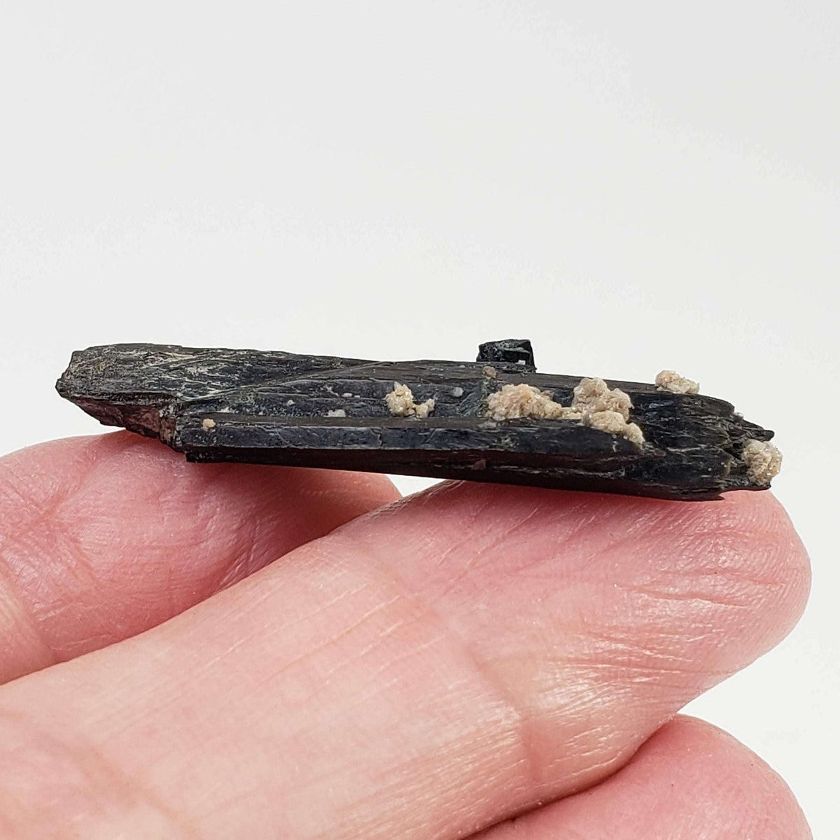  Aegirine Crystal | 4.0gr | Mont-Saint-Hilaire, Québec, Canada 3