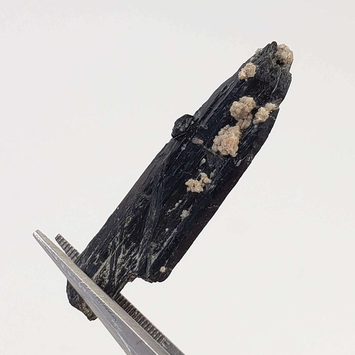  Aegirine Crystal | 4.0gr | Mont-Saint-Hilaire, Québec, Canada 4