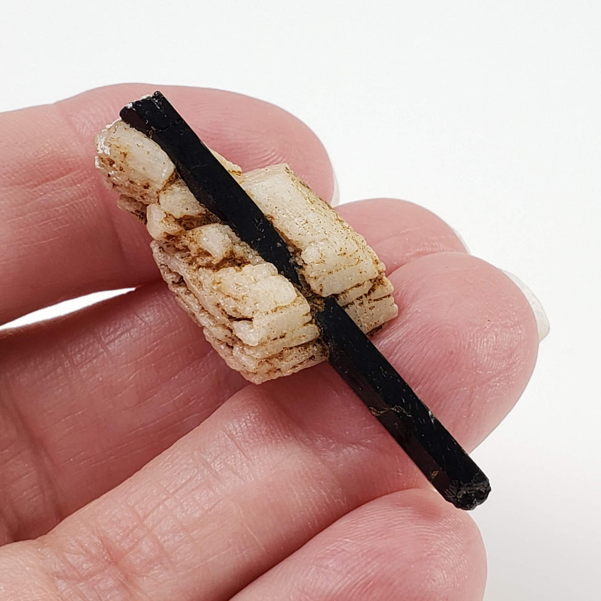  Aegirine on Microcline Crystal | 6.97gr | Mount Malosa, Zomba, Malawi 5