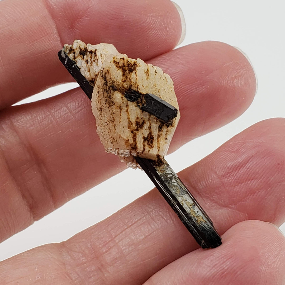  Aegirine on Microcline Crystal | 6.97gr | Mount Malosa, Zomba, Malawi 6