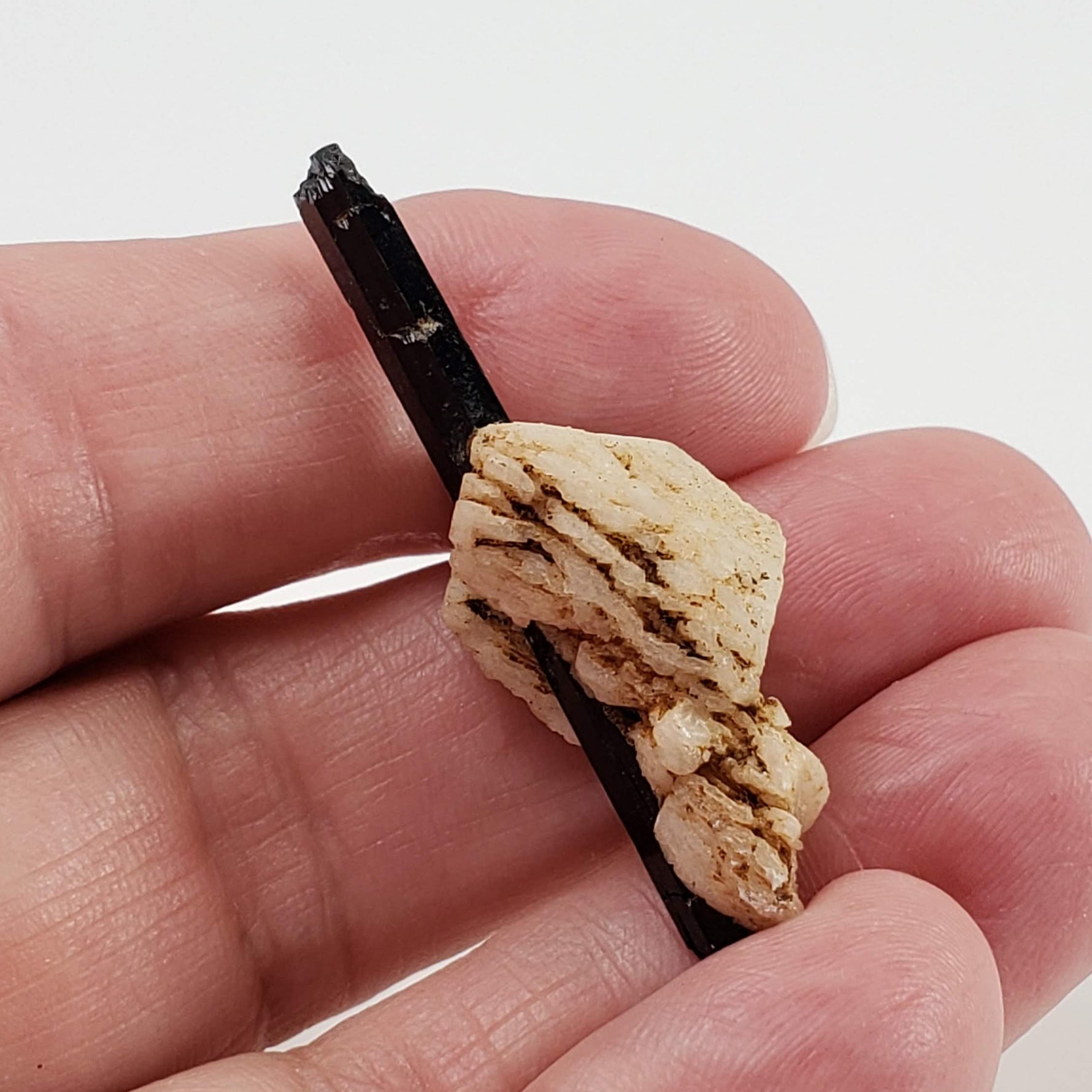  Aegirine on Microcline Crystal | 6.97gr | Mount Malosa, Zomba, Malawi 7