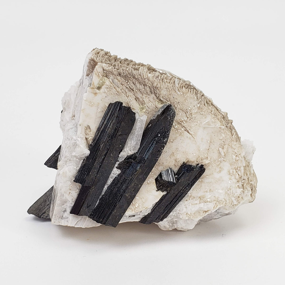  Aegirine on Microcline Crystal | 80.4 grams | Large Specimen | Poudrette Quarry, Mont-Saint-Hilaire, Canada 