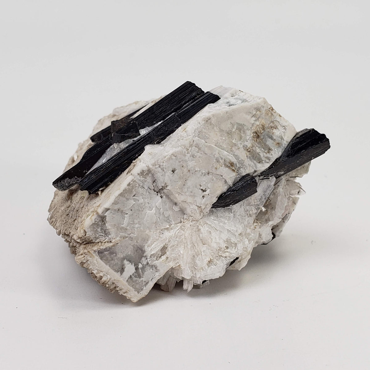  Aegirine on Microcline Crystal | 80.4 grams | Large Specimen | Poudrette Quarry, Mont-Saint-Hilaire, Canada 2