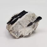  Aegirine on Microcline Crystal | 80.4 grams | Large Specimen | Poudrette Quarry, Mont-Saint-Hilaire, Canada 2