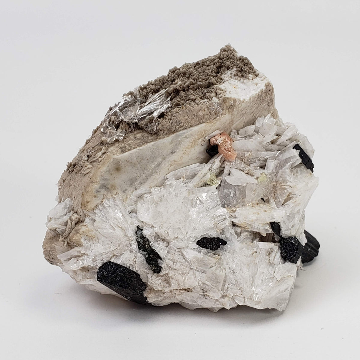  Aegirine on Microcline Crystal | 80.4 grams | Large Specimen | Poudrette Quarry, Mont-Saint-Hilaire, Canada 3