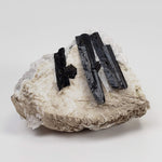  Aegirine on Microcline Crystal | 80.4 grams | Large Specimen | Poudrette Quarry, Mont-Saint-Hilaire, Canada 1