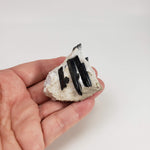  Aegirine on Microcline Crystal | 80.4 grams | Large Specimen | Poudrette Quarry, Mont-Saint-Hilaire, Canada 6