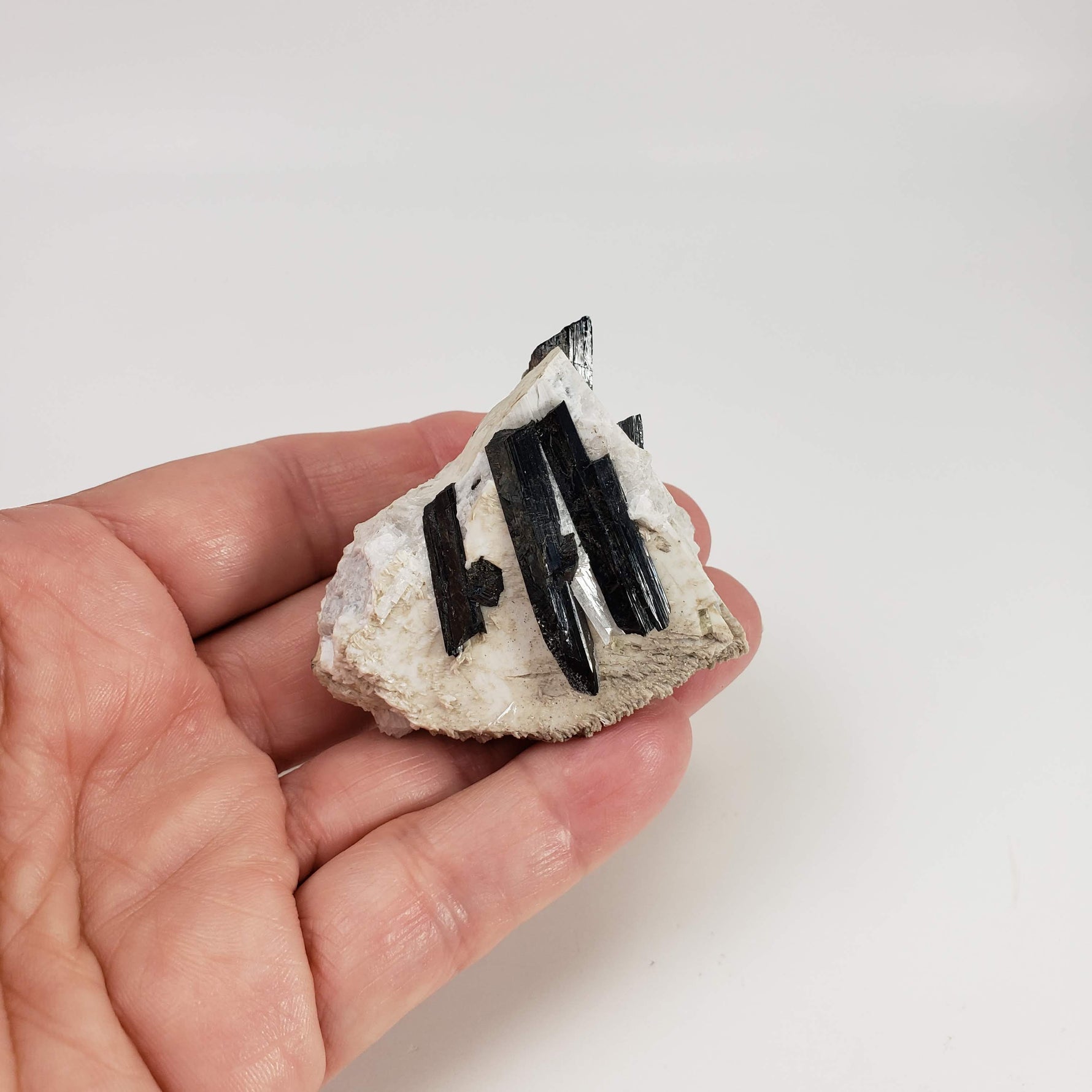  Aegirine on Microcline Crystal | 80.4 grams | Large Specimen | Poudrette Quarry, Mont-Saint-Hilaire, Canada 6