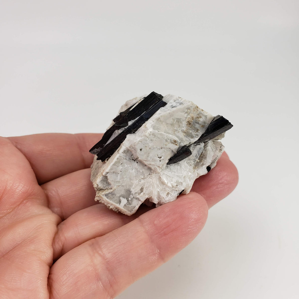  Aegirine on Microcline Crystal | 80.4 grams | Large Specimen | Poudrette Quarry, Mont-Saint-Hilaire, Canada 7