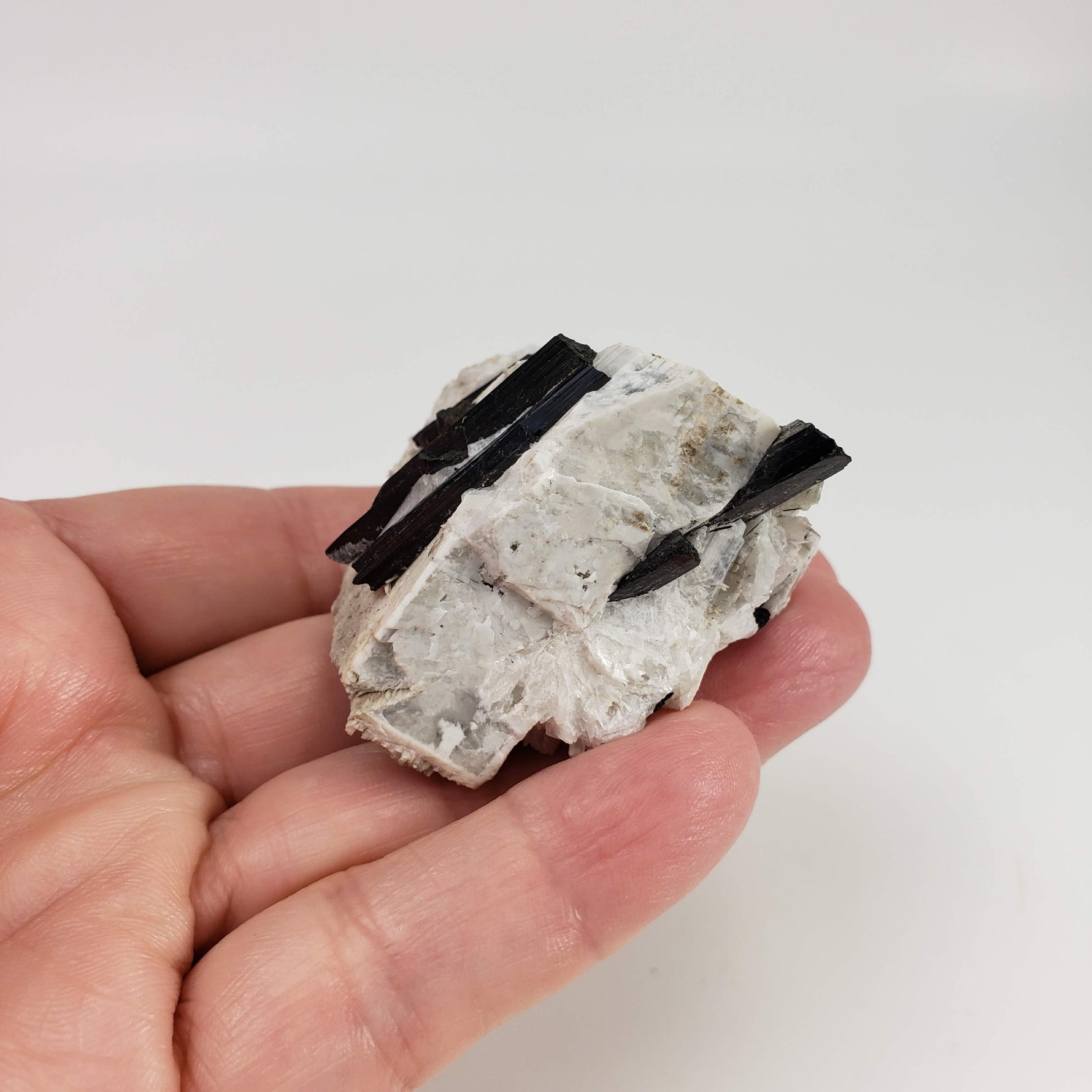  Aegirine on Microcline Crystal | 80.4 grams | Large Specimen | Poudrette Quarry, Mont-Saint-Hilaire, Canada 7