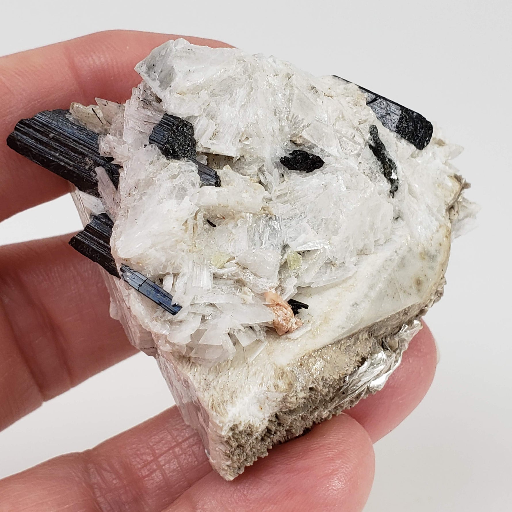  Aegirine on Microcline Crystal | 80.4 grams | Large Specimen | Poudrette Quarry, Mont-Saint-Hilaire, Canada 4