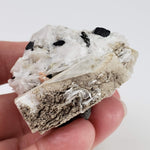  Aegirine on Microcline Crystal | 80.4 grams | Large Specimen | Poudrette Quarry, Mont-Saint-Hilaire, Canada 5