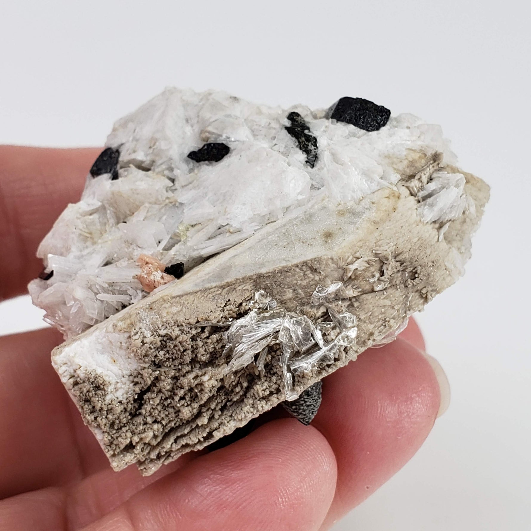  Aegirine on Microcline Crystal | 80.4 grams | Large Specimen | Poudrette Quarry, Mont-Saint-Hilaire, Canada 5