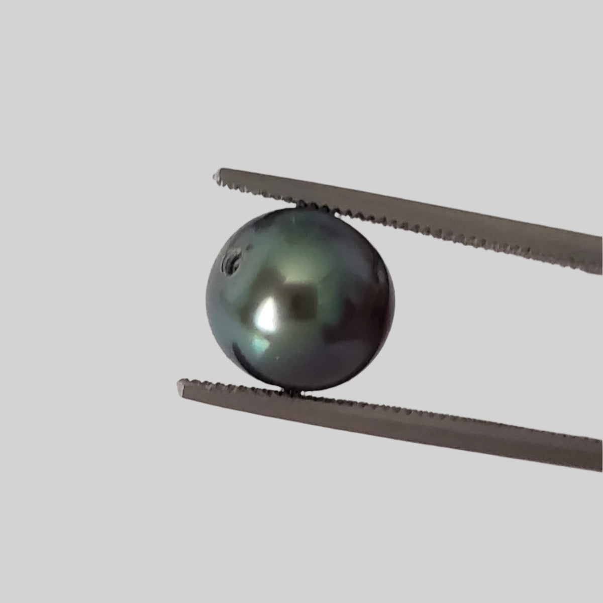  Akoya Pearl | Black | 7.7mm | Japan 