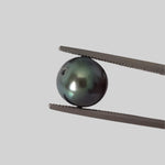  Akoya Pearl | Black | 7.7mm | Japan 