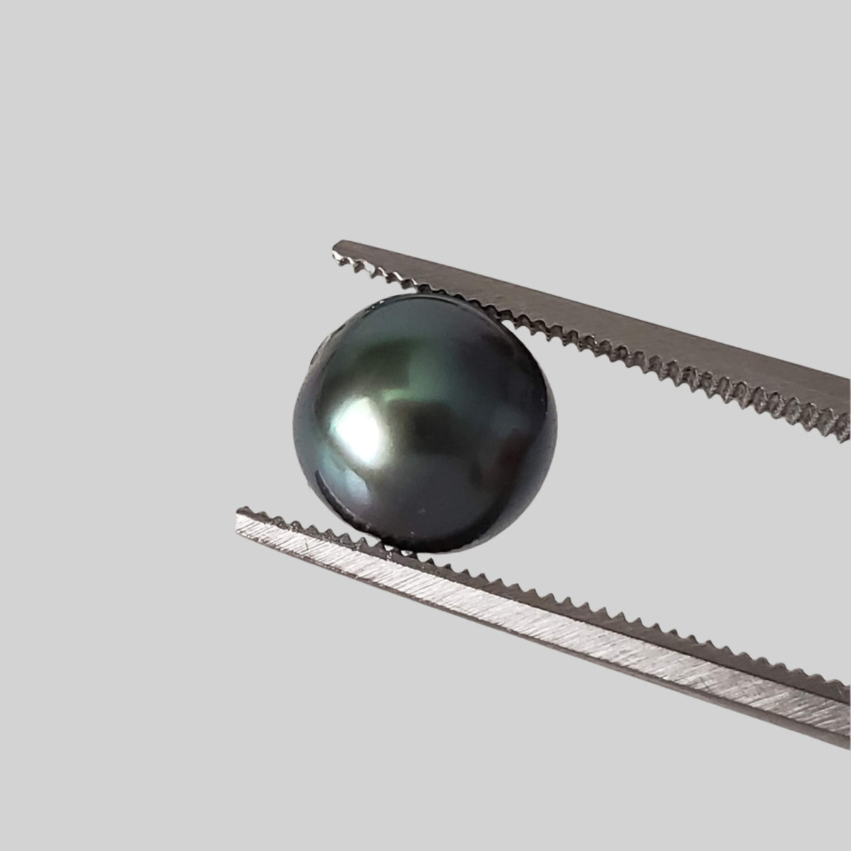  Akoya Pearl | Black | 7.7mm | Japan 1