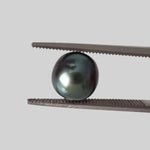  Akoya Pearl | Black | 7.7mm | Japan 2