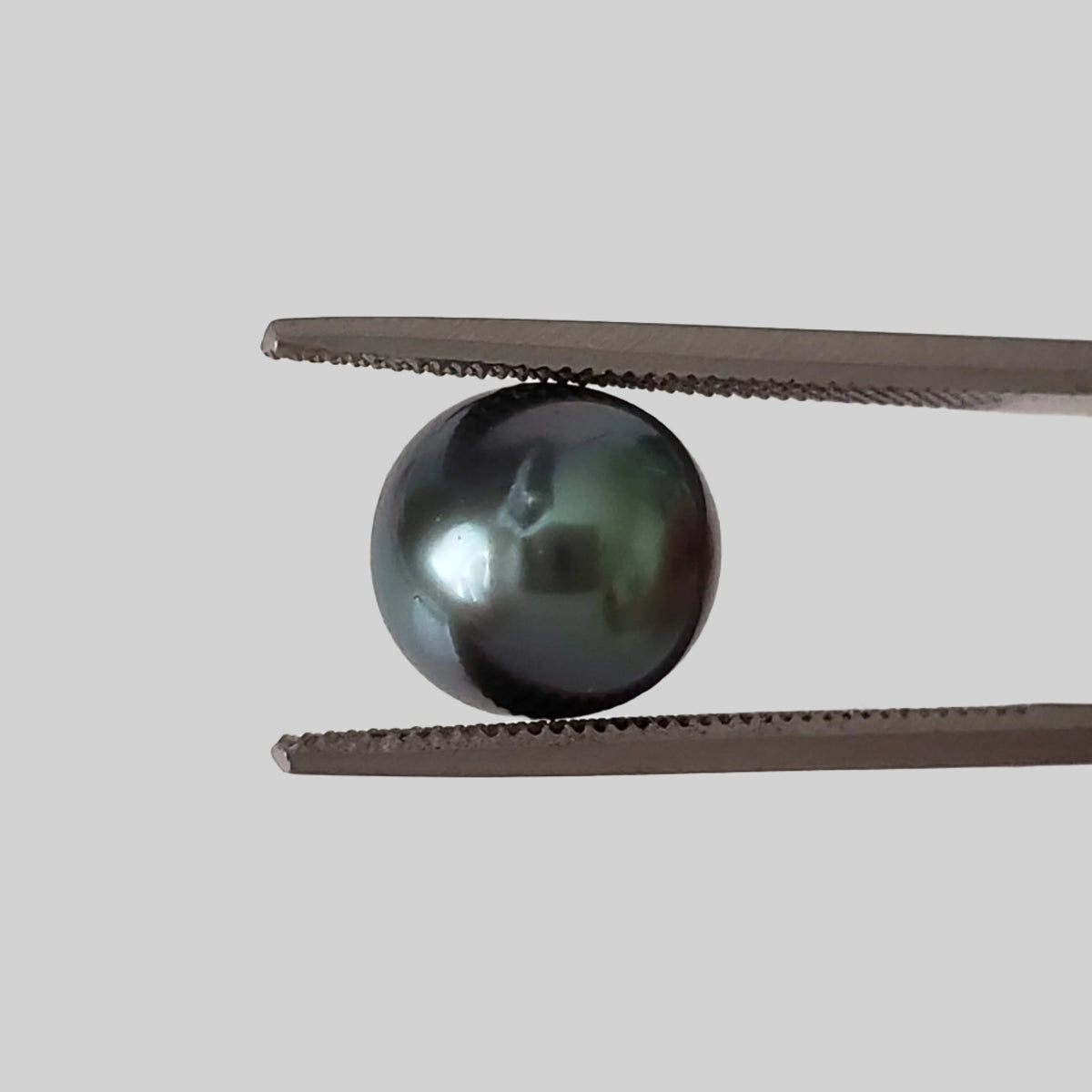  Akoya Pearl | Black | 7.7mm | Japan 3