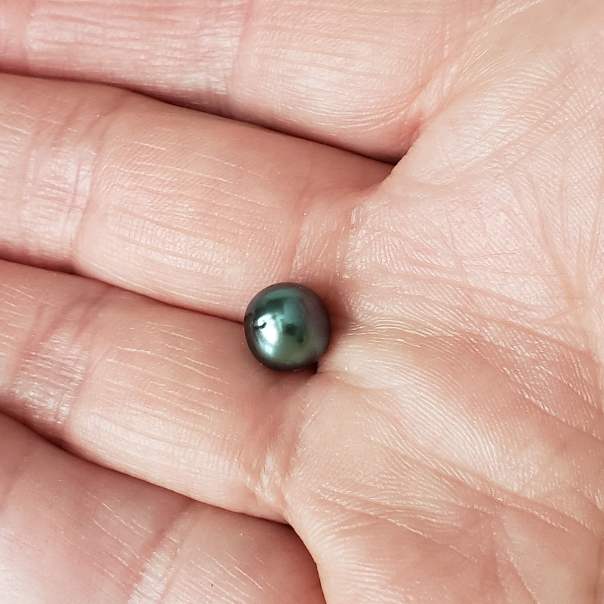  Akoya Pearl | Black | 7.7mm | Japan 6
