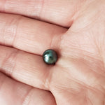  Akoya Pearl | Black | 7.7mm | Japan 6