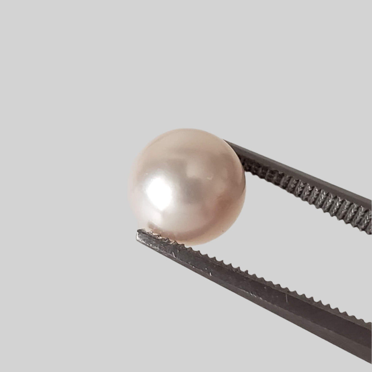  Akoya Pearl | White | Perfect Round | 7.6mm | Japan 