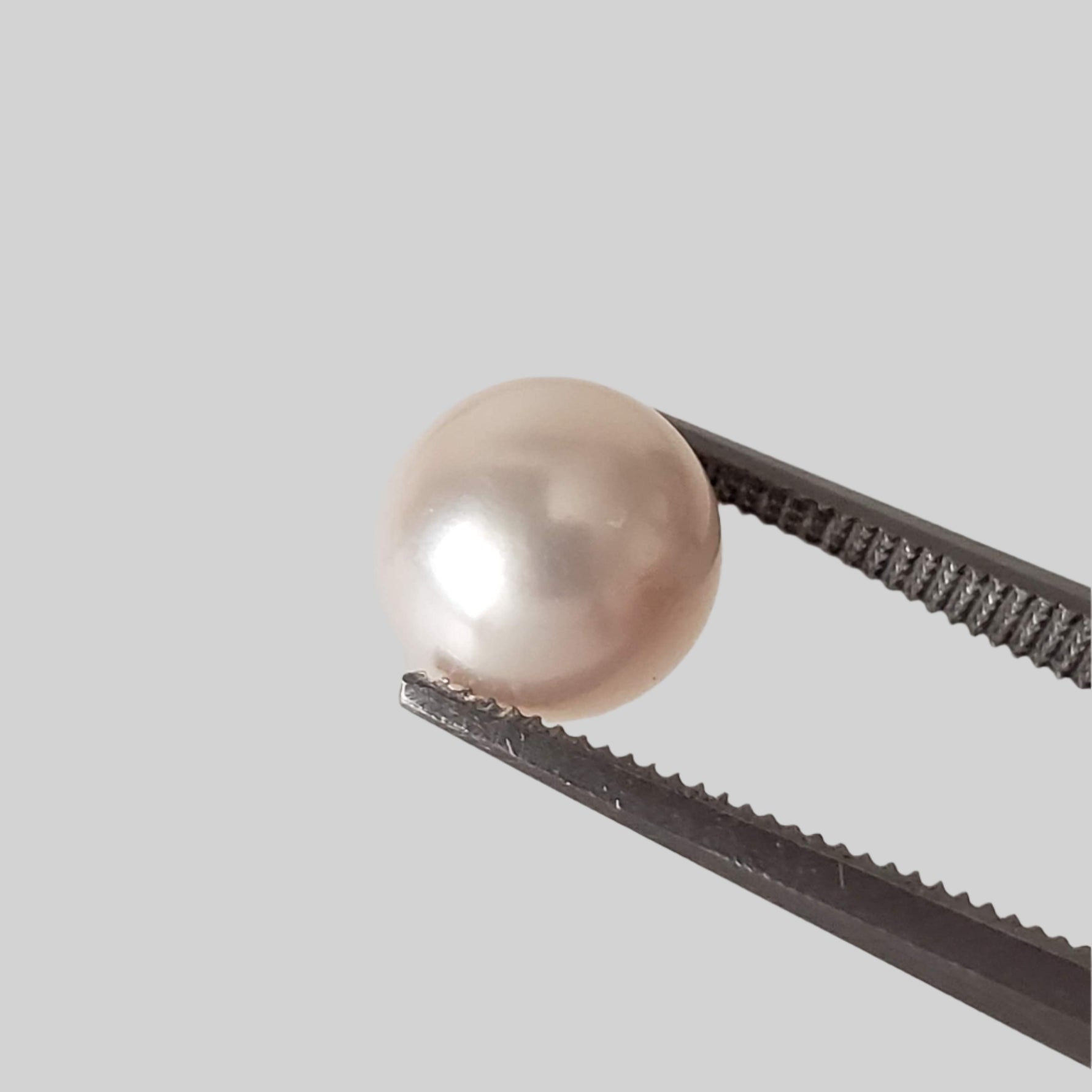  Akoya Pearl | White | Perfect Round | 7.6mm | Japan 