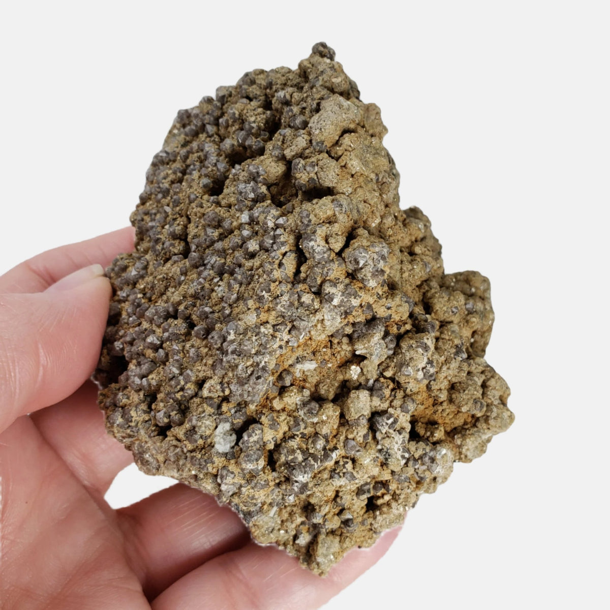  Albite, Siderite and Terminated Quartz Cluster | 375 gr | Mont St-Hilaire, Quebec, Canada 3