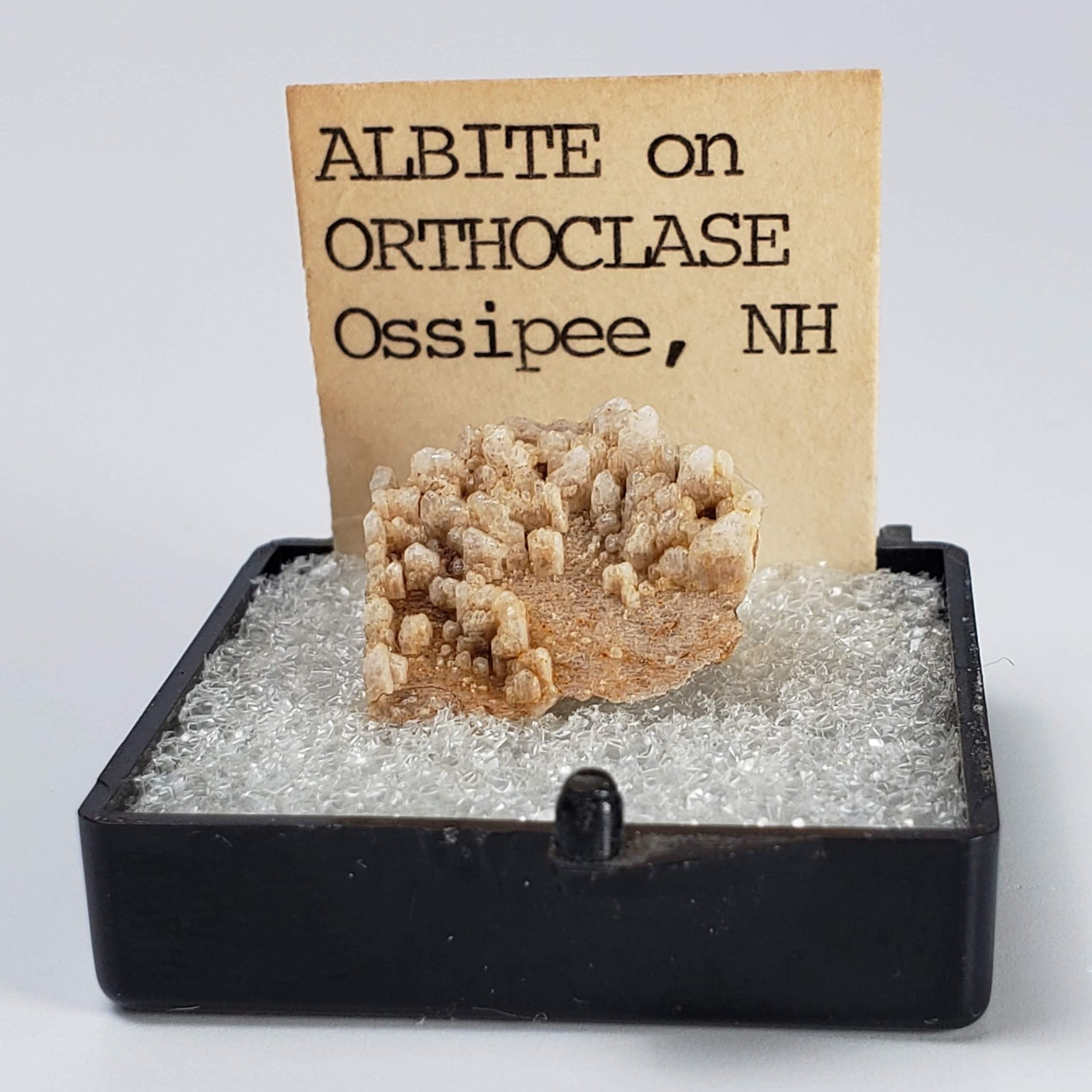  Albite on Orthoclase | Perky Box Thumbnail Specimen | Ossipee, NH, USA 6