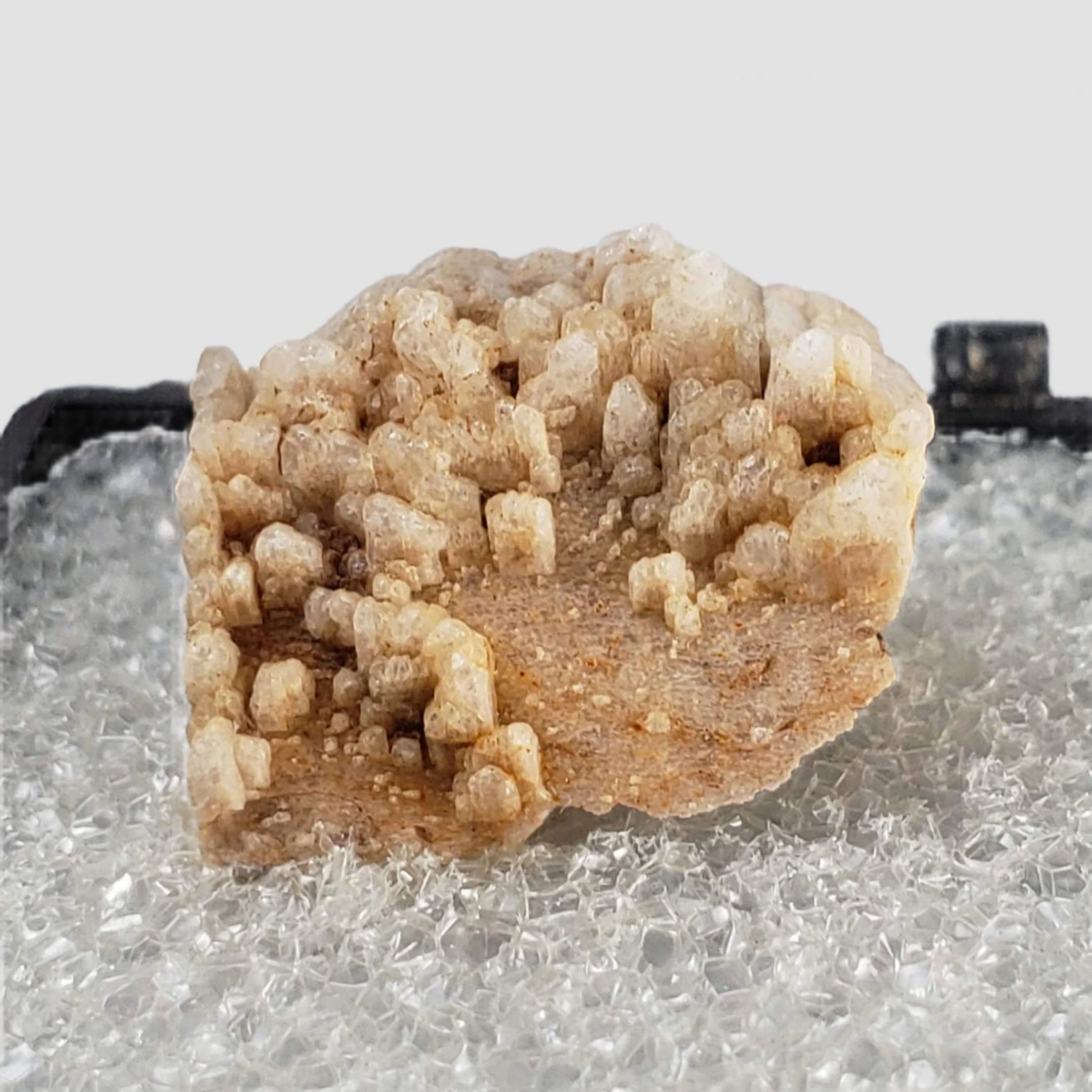  Albite on Orthoclase | Perky Box Thumbnail Specimen | Ossipee, NH, USA 